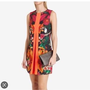 Ted Baker dress